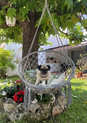 La Villa Cannes Croisette