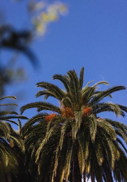 La Villa Cannes Croisette - Temperature standards